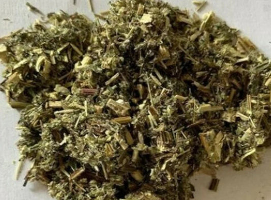 Mugwort Herb Wild Crafted Dried Cut ~ Artemisia Vulgaris