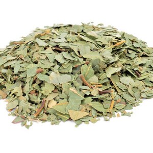 Eucalyptus Wild Crafted Leaves Leaf Dried Cut ~ Eucalyptus Globulus