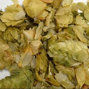 Hops Flower Wild Crafted Whole Dried Cut ~ Humulus Lupulus