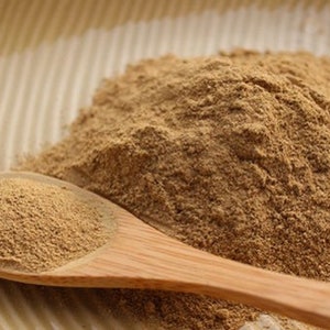 Dong Quai Root Wild Crafted Powder ~ Angelica Sinensis