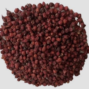 Rose Hips Wild Crafted Whole Dried ~ Rosa Canina