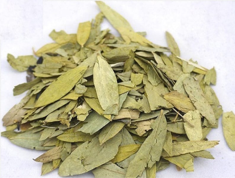 Senna Leaves Wild Crafted Dried Cut Bulk ~ Senna Alexandrina