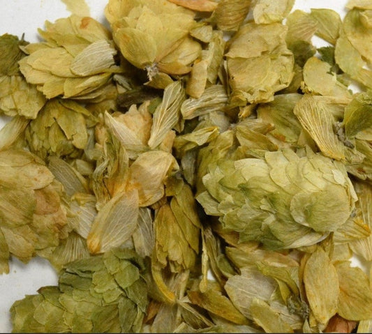 Hops Flower Wild Crafted Whole Dried Cut ~ Humulus Lupulus