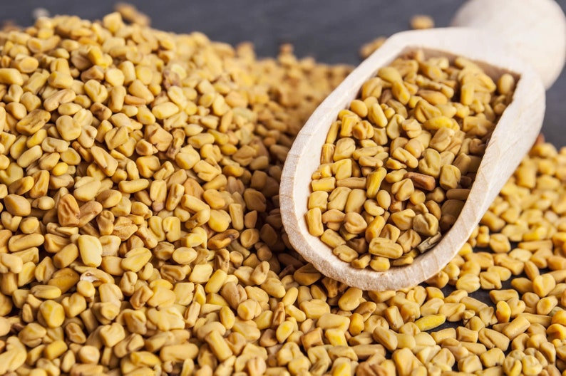 Fenugreek Seed Whole ~ Trigonella Foenum Graecum