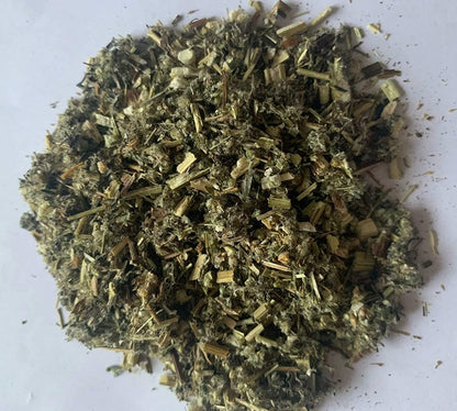 Organic Mugwort Herb Dried Cut ~ Artemisia Vulgaris