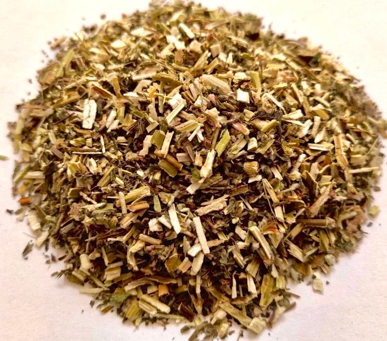 Motherwort Wild Crafted Herb Dried Cut ~ Leonurus Cardiaca